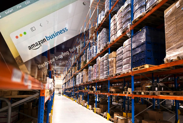 Amazon Wholesale Partnership Program